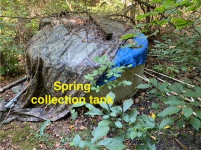 Mountain Springwater Fed Homestead - image 6