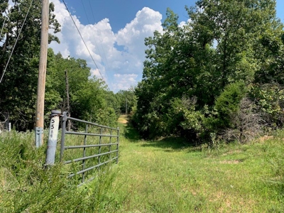 Mountain Springwater Fed Homestead - image 1