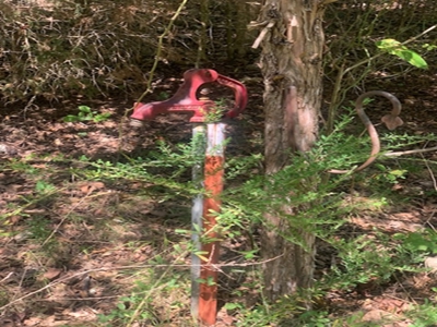 Mountain Springwater Fed Homestead - image 9