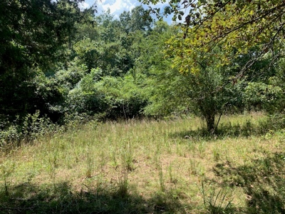 Mountain Springwater Fed Homestead - image 7