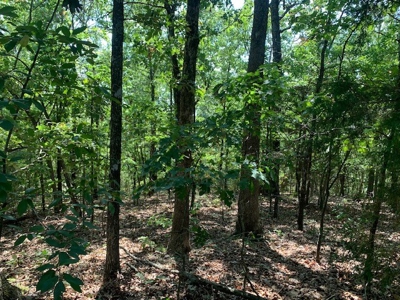 Mountain Springwater Fed Homestead - image 22