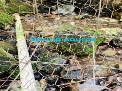 Mountain Springwater Fed Homestead - image 24