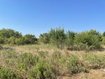 Land With Acreage for Sale In Nocona, Texas - image 7