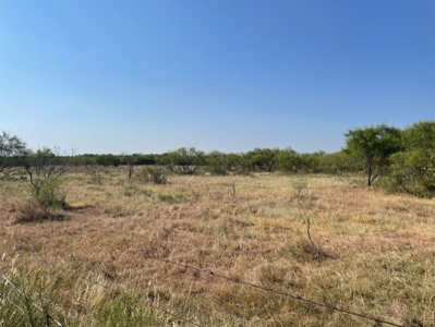 Land With Acreage for Sale In Nocona, Texas - image 10