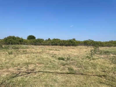 Land With Acreage for Sale In Nocona, Texas - image 4