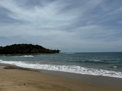 4HAS oceanfront land in Palenque, Colon - image 13