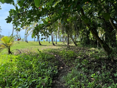 4HAS oceanfront land in Palenque, Colon - image 8