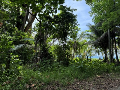 4HAS oceanfront land in Palenque, Colon - image 12