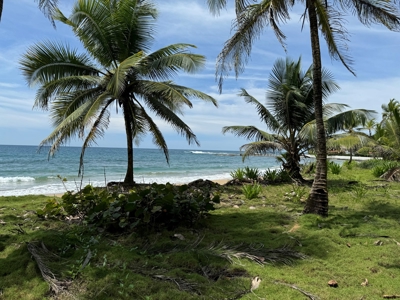 4HAS oceanfront land in Palenque, Colon - image 6