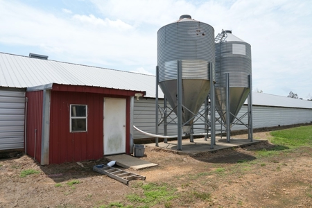 MS Poultry Broiler Farm 10 House Turnkey With High Income - image 19