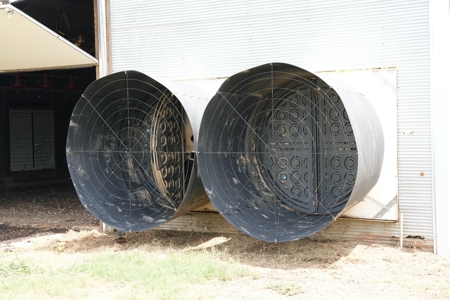MS Poultry Broiler Farm 10 House Turnkey With High Income - image 33