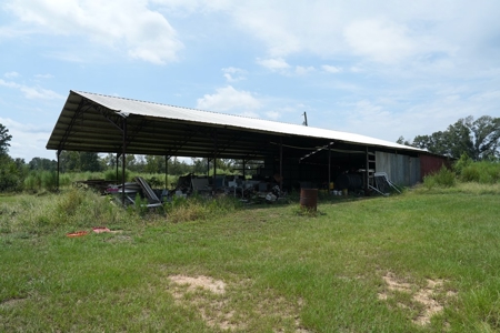 MS Poultry Broiler Farm 10 House Turnkey With High Income - image 45