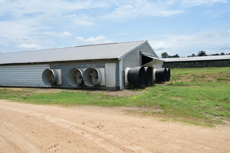 MS Poultry Broiler Farm 10 House Turnkey With High Income - image 30