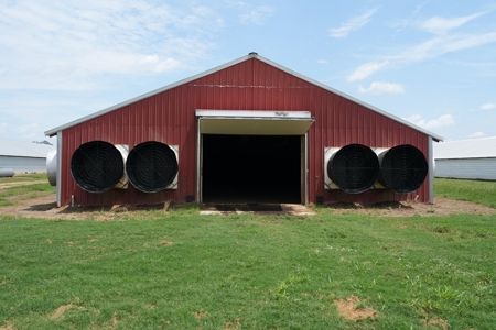 MS Poultry Broiler Farm 10 House Turnkey With High Income - image 16