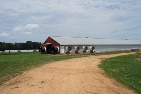 MS Poultry Broiler Farm 10 House Turnkey With High Income - image 18