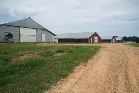 MS Poultry Broiler Farm 10 House Turnkey With High Income - image 3