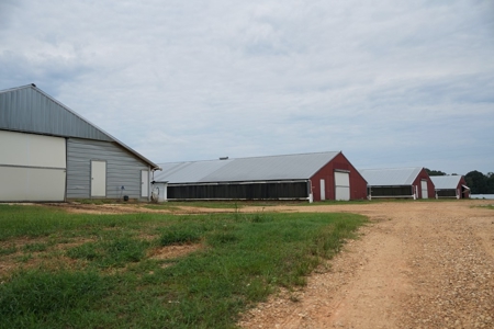 MS Poultry Broiler Farm 10 House Turnkey With High Income - image 5