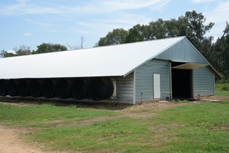 MS Poultry Broiler Farm 10 House Turnkey With High Income - image 13