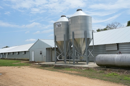 MS Poultry Broiler Farm 10 House Turnkey With High Income - image 10