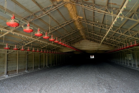 MS Poultry Broiler Farm 10 House Turnkey With High Income - image 31