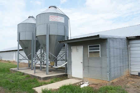 MS Poultry Broiler Farm 10 House Turnkey With High Income - image 25