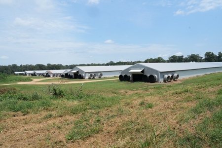 MS Poultry Broiler Farm 10 House Turnkey With High Income - image 35