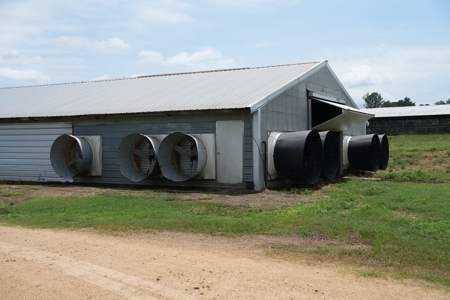 MS Poultry Broiler Farm 10 House Turnkey With High Income - image 29
