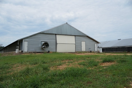 MS Poultry Broiler Farm 10 House Turnkey With High Income - image 4