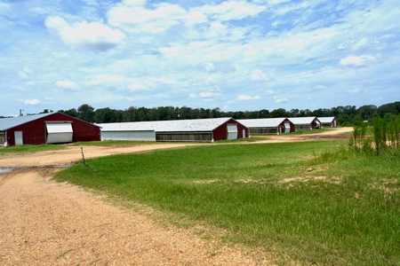 MS Poultry Broiler Farm 10 House Turnkey With High Income - image 1
