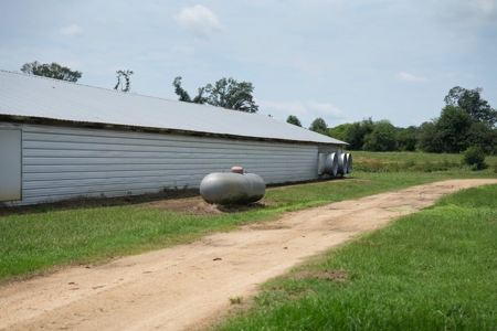 MS Poultry Broiler Farm 10 House Turnkey With High Income - image 26