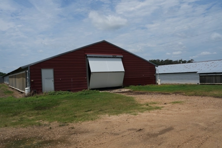 MS Poultry Broiler Farm 10 House Turnkey With High Income - image 24
