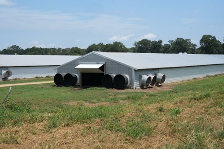 MS Poultry Broiler Farm 10 House Turnkey With High Income - image 36
