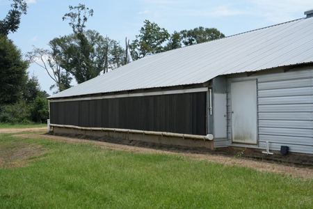 MS Poultry Broiler Farm 10 House Turnkey With High Income - image 20
