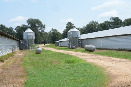 MS Poultry Broiler Farm 10 House Turnkey With High Income - image 34