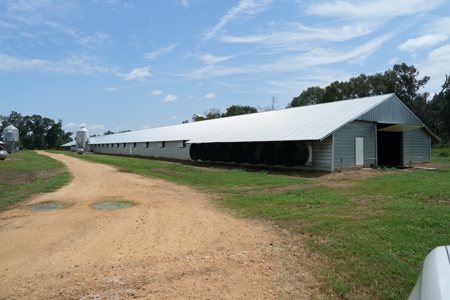MS Poultry Broiler Farm 10 House Turnkey With High Income - image 14
