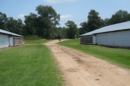 MS Poultry Broiler Farm 10 House Turnkey With High Income - image 28