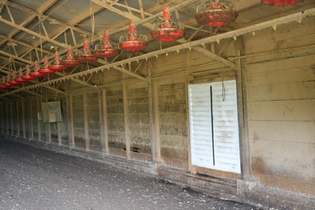MS Poultry Broiler Farm 10 House Turnkey With High Income - image 32