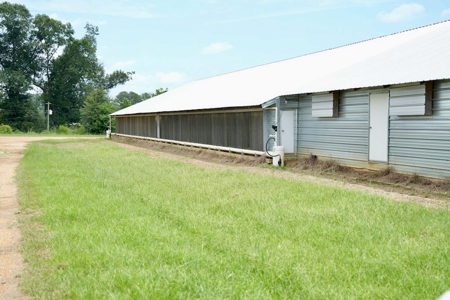 MS Poultry Broiler Farm 10 House Turnkey With High Income - image 7