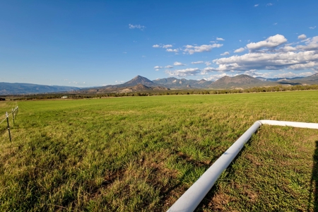 Crawford CO horse property with irrigated hayfield, arena - image 15