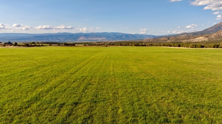 Crawford CO horse property with irrigated hayfield, arena - image 8