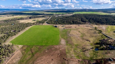Crawford CO horse property with irrigated hayfield, arena - image 11