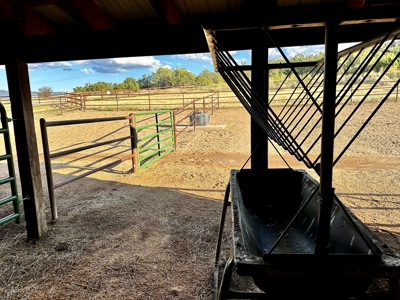 Crawford CO horse property with irrigated hayfield, arena - image 46