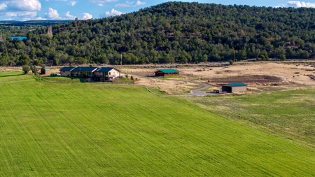 Crawford CO horse property with irrigated hayfield, arena - image 10
