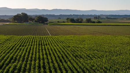 Olathe Irrigated Farm Land For Sale in Western Colorado - image 12