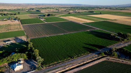 Olathe Irrigated Farm Land For Sale in Western Colorado - image 8