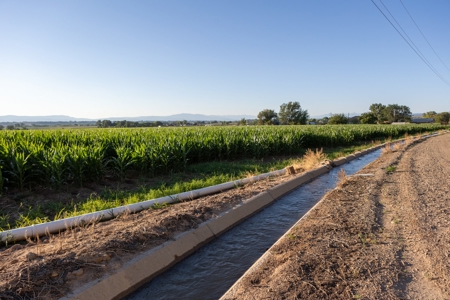 Olathe Irrigated Farm Land For Sale in Western Colorado - image 5