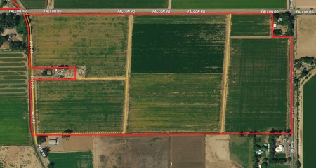 Olathe Irrigated Farm Land For Sale in Western Colorado - image 15