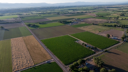 Olathe Irrigated Farm Land For Sale in Western Colorado - image 10