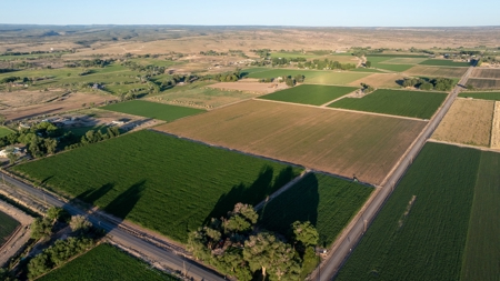 Olathe Irrigated Farm Land For Sale in Western Colorado - image 7