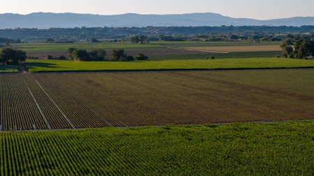 Olathe Irrigated Farm Land For Sale in Western Colorado - image 11